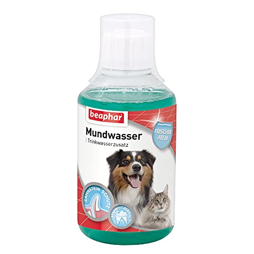 Boca Agua para Perros y Gatos, Agua Potable Adicional contra halitosis en Perros & Gatos | fertiliza Plaque | Previene Dientes Piedra Antes | con mentol | 250 ml