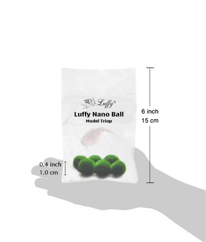 Bolas Luffy Nano Marimo para pecera de agua salada, ideal para pez payaso, ocellaris, damisela, dottyback, rayas, planta viva fácil de mantener, brinda oxígeno, bajo mantenimiento, 5 unidades