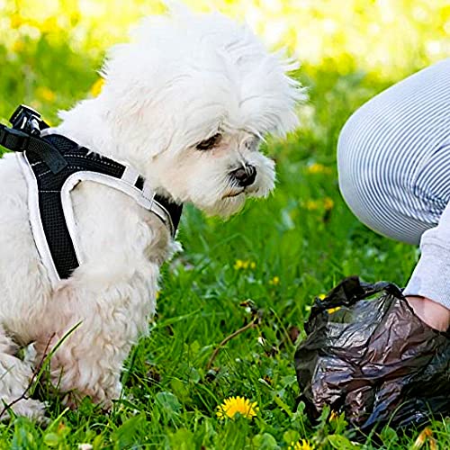 Bolsas para Excrementos de Perro, con Dispensador y Clip para Correa, Pack de 20 Rollos X 15 .300 Bolsas, Color Negro, Antifugas y Seguras, Extra Gruesas, Fuertes, Bolsas para Cacas de Perro