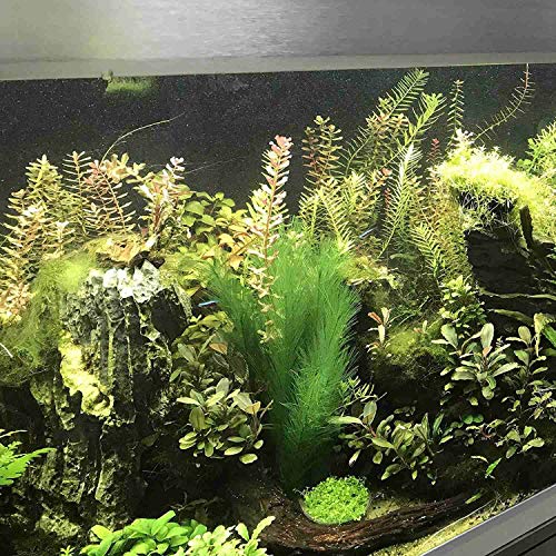 Bopfimer Decoración de acuario artificial verde agua plantas de seda telas de plástico, no tóxico y seguro para todos los peces y animales domésticos.