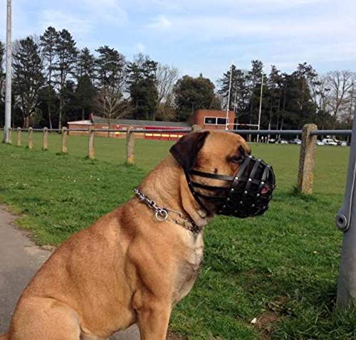 Bozal de perro de piel auténtica ligera para Dogue de Burdeos y Bullmastiff y otros (cuero negro, DB 3)