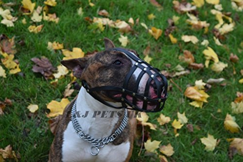 Bozal Ligero de Piel para Perro Bull Terrier inglés y Otros de hocico Similar