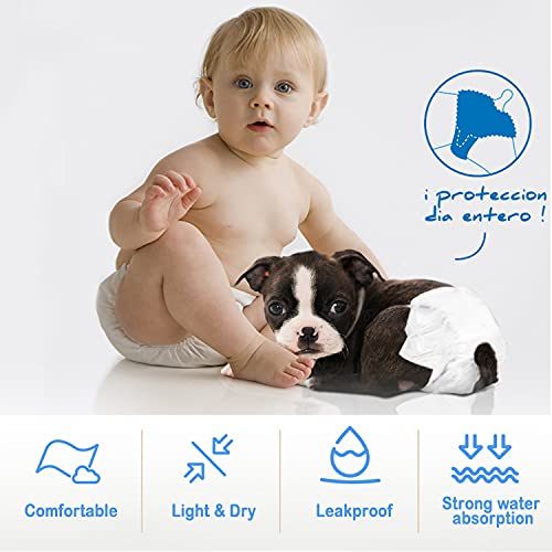 BPS 16 Pcs Pañal para Perro Sanitarios Mascotas Desechables Hembra Cachorro ​Entrenamiento Súper Absorbente Braguita Higiénica 5 Tamaños Elegir (XL) BPS-2185 * 2