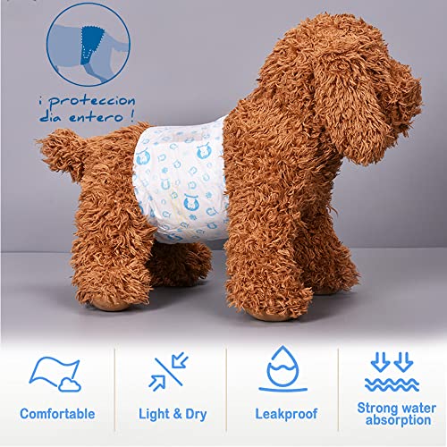 BPS 16 Pcs Pañal para Perro Sanitarios Mascotas Desechables Masculino ​Entrenamiento Súper Absorbente Braguita Higiénica 4 Tamaños (M) BPS-2205*2