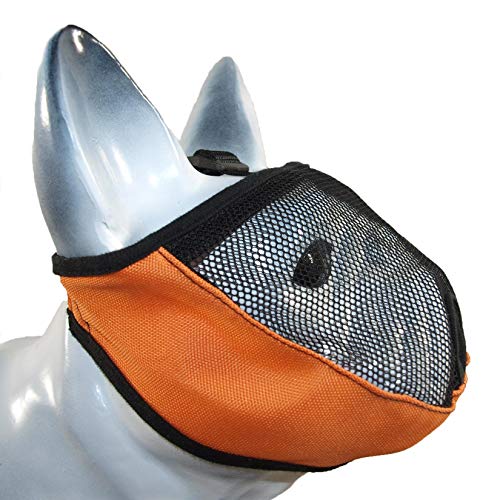 Brachycephalic Bozal para perros con hocico aplanado: bulldog inglés, bulldog francés, pekingés, shih-Tzu, carlino, también adecuado para gatos, circunferencia de la cabeza (XXS 28-40 cm)