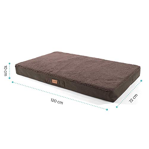 brunolie Balu Cama para Perros Muy Grande Marrón Oscuro, Lavable, ortopédico y Antideslizante, Cama para Perros Agradable con Espuma de Memoria Transpirable, Tamaño XL (120 x 72 x 10 cm)