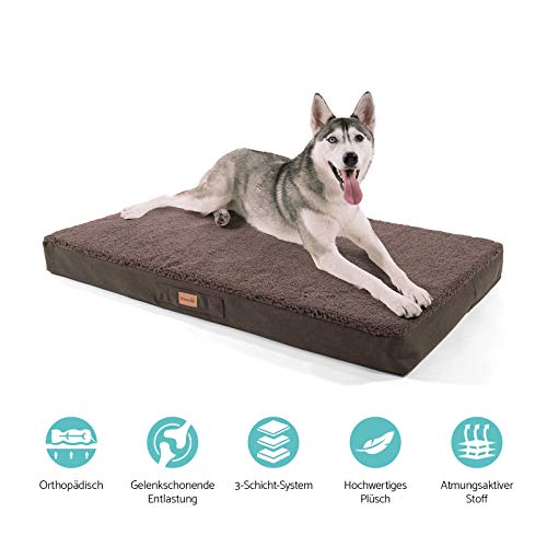 brunolie Balu Cama para Perros Muy Grande Marrón Oscuro, Lavable, ortopédico y Antideslizante, Cama para Perros Agradable con Espuma de Memoria Transpirable, Tamaño XL (120 x 72 x 10 cm)