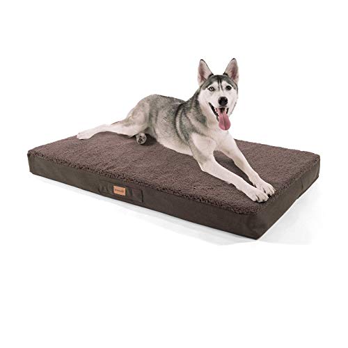 brunolie Balu Cama para Perros Muy Grande Marrón Oscuro, Lavable, ortopédico y Antideslizante, Cama para Perros Agradable con Espuma de Memoria Transpirable, Tamaño XL (120 x 72 x 10 cm)