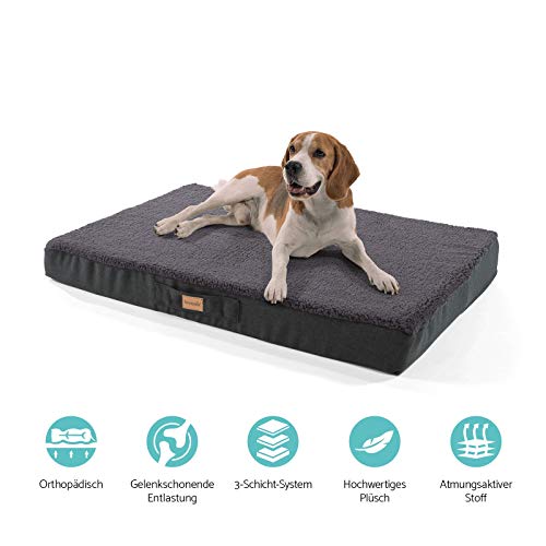 brunolie Balu Sofá para Perros Grande Gris Oscuro, Lavable, ortopédico y Antideslizante, Cama para Perros Agradable con Espuma de Memoria Transpirable, Tamaño L (100 x 65 x 10 cm)