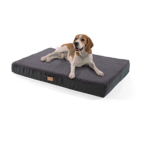 brunolie Balu Sofá para Perros Grande Gris Oscuro, Lavable, ortopédico y Antideslizante, Cama para Perros Agradable con Espuma de Memoria Transpirable, Tamaño L (100 x 65 x 10 cm)