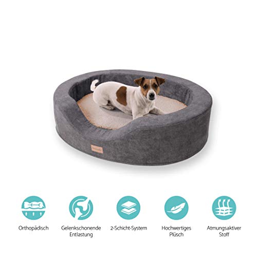 brunolie Lotte Cama para Perros Ovalada Beige, Lavable, ortopédica y Antideslizante, Cama para Perros Agradable con Espuma de Memoria Transpirable, Tamaño M 80 x 60 cm