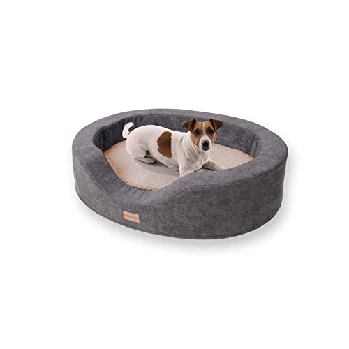 brunolie Lotte Cama para Perros Ovalada Beige, Lavable, ortopédica y Antideslizante, Cama para Perros Agradable con Espuma de Memoria Transpirable, Tamaño M 80 x 60 cm