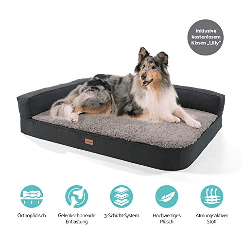 brunolie Odin Sofá para Perros Grande Gris, Lavable, ortopédico y Antideslizante, Cama para Perros con Bordes extraíbles, Tamaño L (120 x 80 x 12 cm)