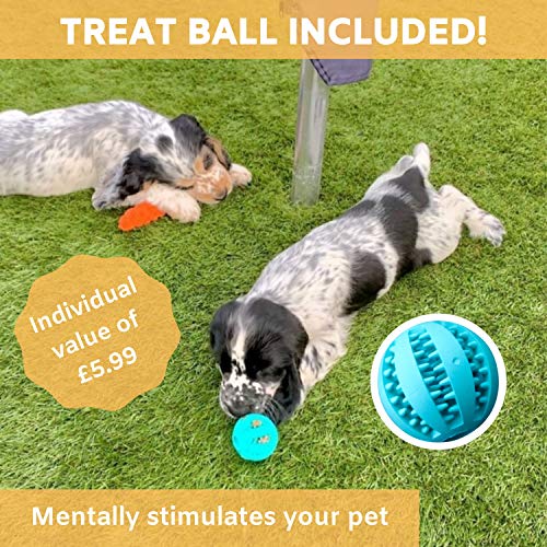 Buddy Wild Juguetes para Perros con Pelota de Perro Interactiva Incluida – Juguetes Masticables 100 % Naturales, Resistentes y Duraderos - Juguetes de Entrenamiento de Perros Cachorros y Pequeños