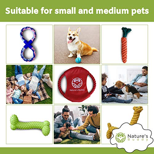 Buddy Wild Juguetes para Perros con Pelota de Perro Interactiva Incluida – Juguetes Masticables 100 % Naturales, Resistentes y Duraderos - Juguetes de Entrenamiento de Perros Cachorros y Pequeños