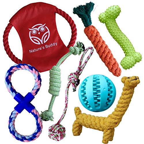 Buddy Wild Juguetes para Perros con Pelota de Perro Interactiva Incluida – Juguetes Masticables 100 % Naturales, Resistentes y Duraderos - Juguetes de Entrenamiento de Perros Cachorros y Pequeños