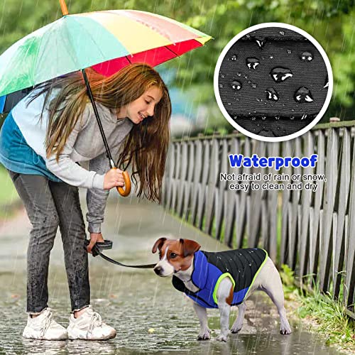 Buddypuppy Abrigo Perro, Impermeable Abrigos para Perros con Agujero para arnés, cálida Chaqueta Perro de Invierno Ropa Perro para Perros pequeños medianos, Negro, L