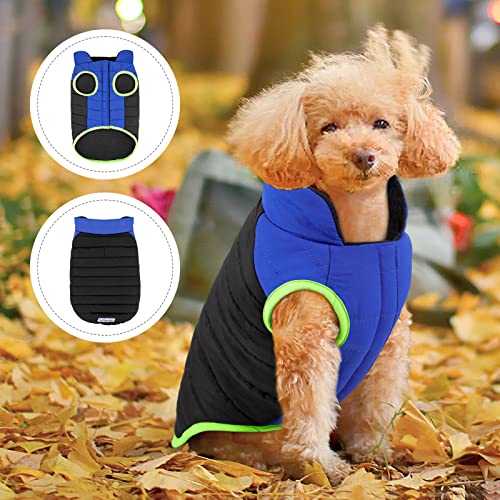 Buddypuppy Abrigo Perro, Impermeable Abrigos para Perros con Agujero para arnés, cálida Chaqueta Perro de Invierno Ropa Perro para Perros pequeños medianos, Negro, L