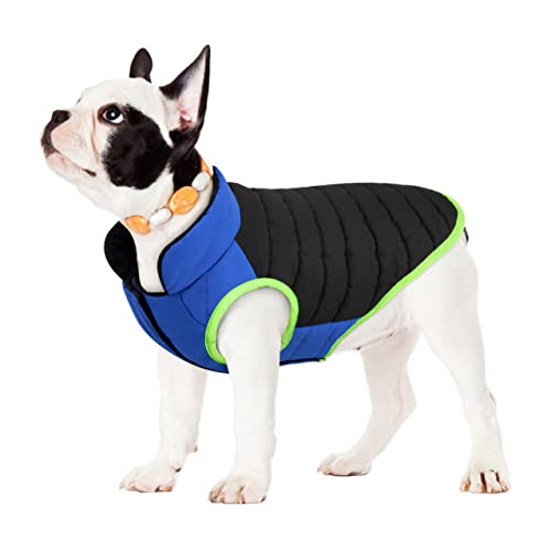 Buddypuppy Abrigo Perro, Impermeable Abrigos para Perros con Agujero para arnés, cálida Chaqueta Perro de Invierno Ropa Perro para Perros pequeños medianos, Negro, L