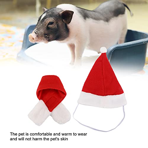 Bufanda y sombrero de Navidad para animales de compañía, disfraz de Navidad para animales de compañía, suave ajustable, ideal para el cobaye Chinchilla y otros pequeños (juego de copas de Navidad, M)