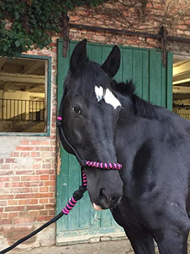 Cabestro de nudos para caballos, acolchado en la nariz y el cuello, ideal para trabajos de suelo, formación de caballos, entrenamiento (negro y rosa)