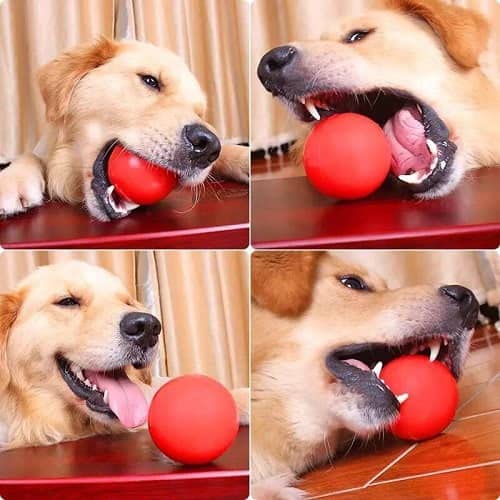 CABLEPELADO Pelota para Perros 7 cm Rojo