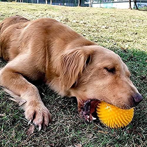 CABLEPELADO Pelota para Perros Erizo con Sonido 6 cm Rojo