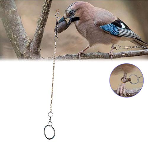 Cadena de pie para pájaros Correa de arnés de Acero Inoxidable para Loros para Entrenamiento al Aire Libre(Agapornis 4.0mm)