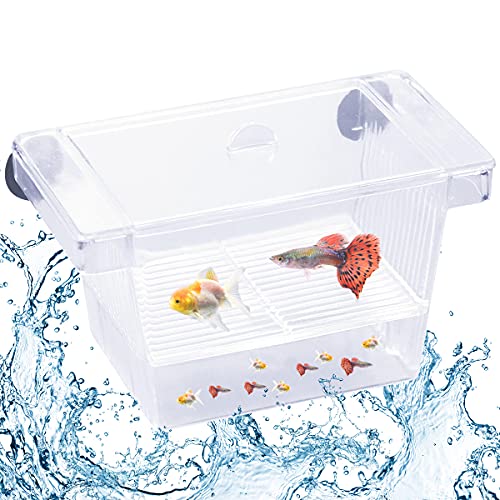 Caja de Cría de Peces, Incubadora de Acuario, Tanque de Peces, Criadero de Peces Flotantes con Ventosa para Acuario Flotante con Separador Hatchery y Caja de Crianza