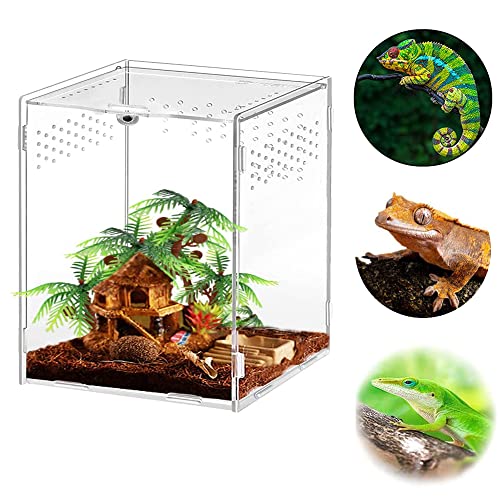 Caja de Insectos Casa, Terrario de Transparente, Terrarios para Reptiles, Acrílico Terrarios Insectos, para Spide, Lagartija, Escorpión, Ciempiés, Rana Cornuda, Escarabajo