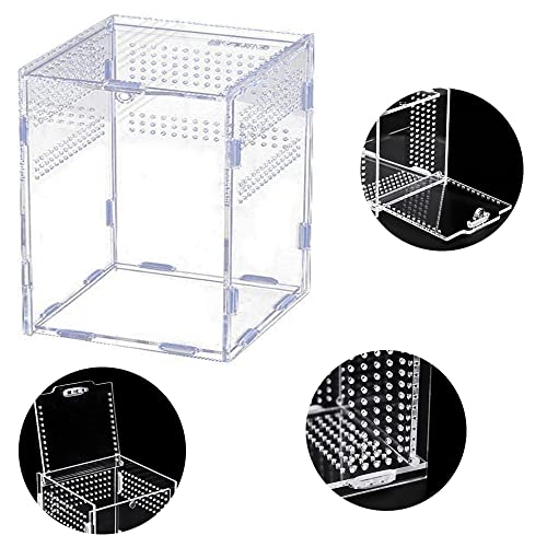 Caja de Insectos Casa, Terrario de Transparente, Terrarios para Reptiles, Acrílico Terrarios Insectos, para Spide, Lagartija, Escorpión, Ciempiés, Rana Cornuda, Escarabajo