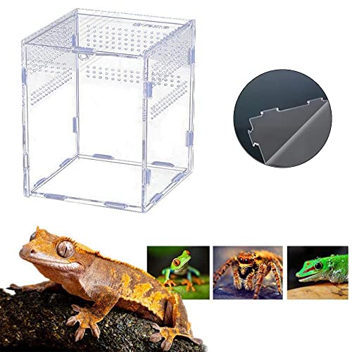 Caja de Insectos Casa, Terrario de Transparente, Terrarios para Reptiles, Acrílico Terrarios Insectos, para Spide, Lagartija, Escorpión, Ciempiés, Rana Cornuda, Escarabajo