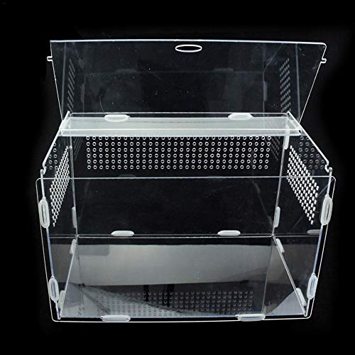 Caja de reproducción de reptiles Aional, lagarto, ciempiés, araña, camaleón, terrario, caja ornamental, terrario acrílico, caja transparente