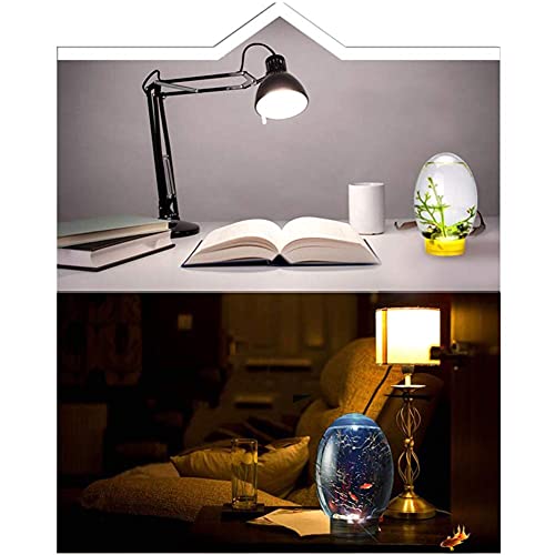 Cakunmik Mini Tanque de Peces ecológicos con Base LED, Ecosfera Cerrada Ecosistema acuático Escritorio de Pescado de Escritorio Diseño Elegante, sin Necesidad de Cambiar el Agua,Azul