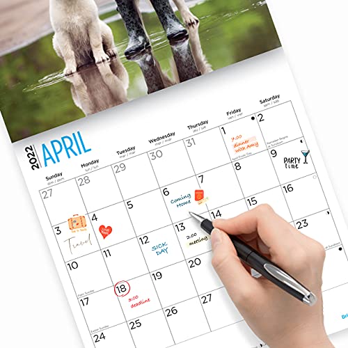 Calendario de pared Golden Retrievers 2022 por Bright Day, 30,5 x 30,5 cm, bonito cachorro de perro