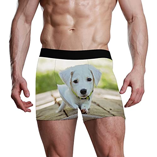 Calzoncillos tipo bóxer para hombre, calzoncillos tipo bóxer, para cachorro, perro, mascotas, ropa interior elástica y transpirable, paquete de 1, 1 color, L