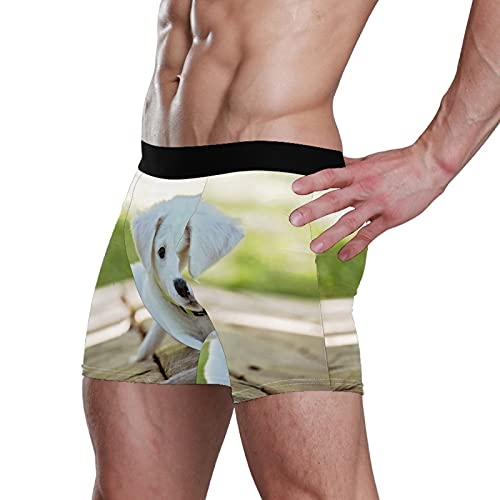 Calzoncillos tipo bóxer para hombre, calzoncillos tipo bóxer, para cachorro, perro, mascotas, ropa interior elástica y transpirable, paquete de 1, 1 color, L