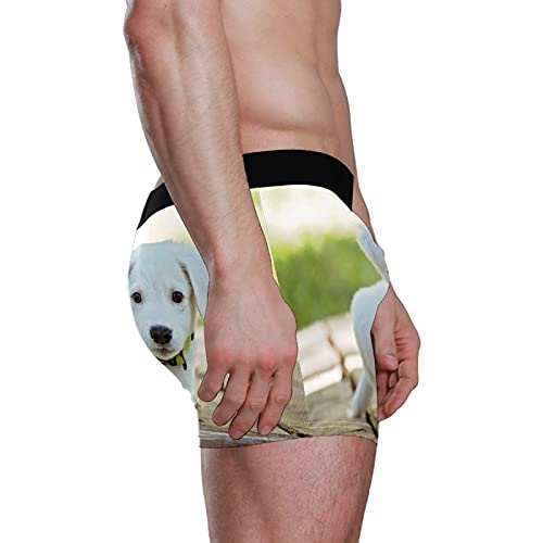 Calzoncillos tipo bóxer para hombre, calzoncillos tipo bóxer, para cachorro, perro, mascotas, ropa interior elástica y transpirable, paquete de 1, 1 color, L