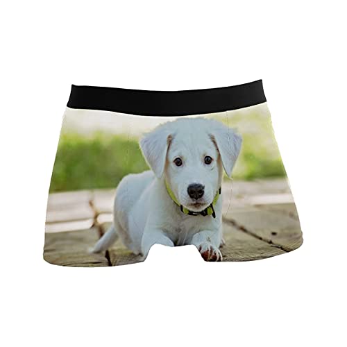 Calzoncillos tipo bóxer para hombre, calzoncillos tipo bóxer, para cachorro, perro, mascotas, ropa interior elástica y transpirable, paquete de 1, 1 color, L