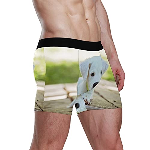 Calzoncillos tipo bóxer para hombre, calzoncillos tipo bóxer, para cachorro, perro, mascotas, ropa interior elástica y transpirable, paquete de 1, 1 color, L