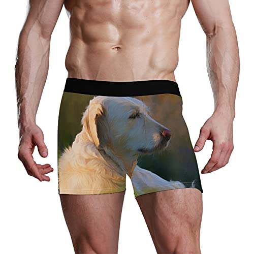 Calzoncillos tipo bóxer para hombre, calzoncillos tipo bóxer, para perros, cachorros, mascotas, ropa interior elástica y transpirable, paquete de 1, 1 color, L