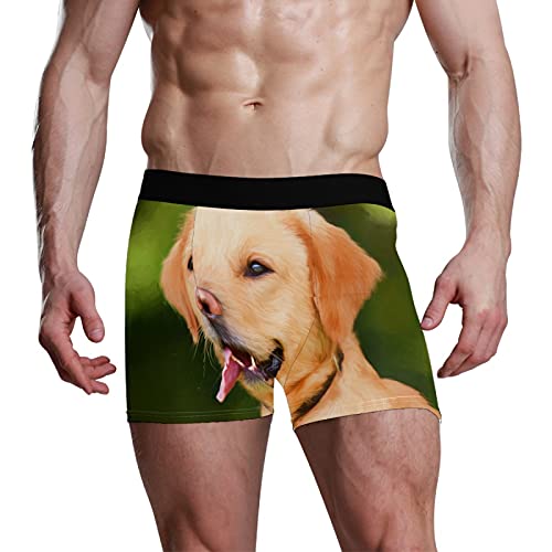 Calzoncillos tipo bóxer para hombre, calzoncillos tipo bóxer, para perros, cachorros, mascotas, ropa interior elástica y transpirable, paquete de 1, 1 color, S