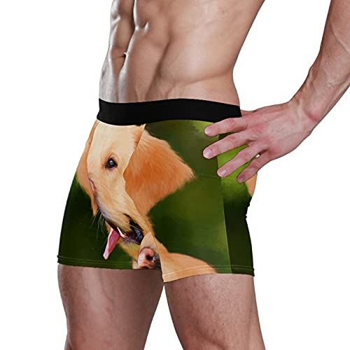 Calzoncillos tipo bóxer para hombre, calzoncillos tipo bóxer, para perros, cachorros, mascotas, ropa interior elástica y transpirable, paquete de 1, 1 color, S