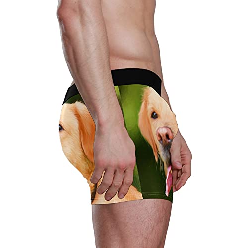 Calzoncillos tipo bóxer para hombre, calzoncillos tipo bóxer, para perros, cachorros, mascotas, ropa interior elástica y transpirable, paquete de 1, 1 color, S