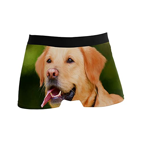 Calzoncillos tipo bóxer para hombre, calzoncillos tipo bóxer, para perros, cachorros, mascotas, ropa interior elástica y transpirable, paquete de 1, 1 color, S