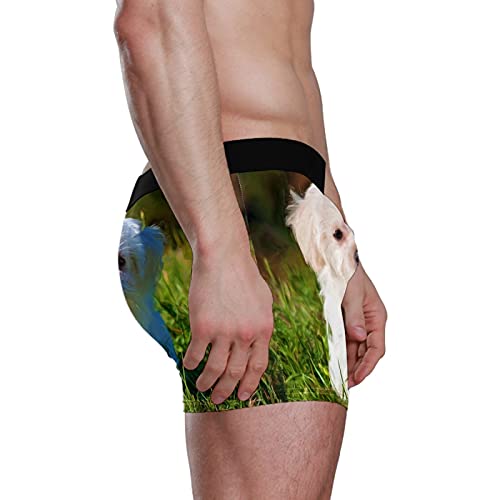 Calzoncillos tipo bóxer para hombre, calzoncillos tipo bóxer, para perros, cachorros, mascotas, ropa interior elástica y transpirable, paquete de 1, 1 color, L