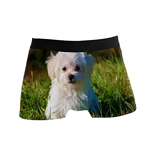 Calzoncillos tipo bóxer para hombre, calzoncillos tipo bóxer, para perros, cachorros, mascotas, ropa interior elástica y transpirable, paquete de 1, 1 color, L