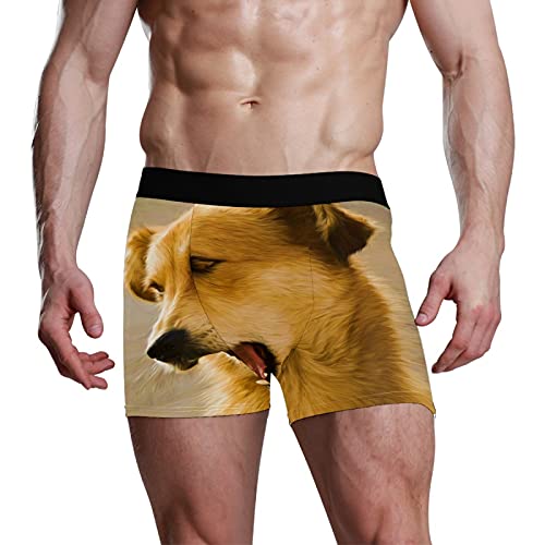 Calzoncillos tipo bóxer para hombre, calzoncillos tipo bóxer, para perros, cachorros, mascotas, ropa interior elástica y transpirable, paquete de 1, 1 color, S