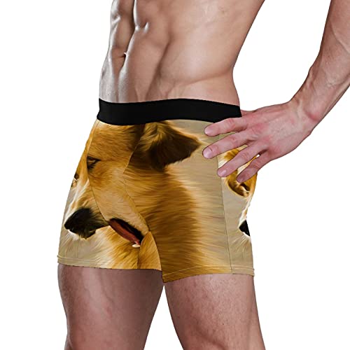 Calzoncillos tipo bóxer para hombre, calzoncillos tipo bóxer, para perros, cachorros, mascotas, ropa interior elástica y transpirable, paquete de 1, 1 color, S