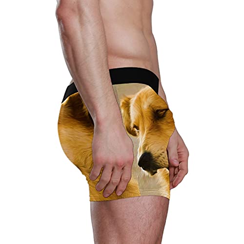 Calzoncillos tipo bóxer para hombre, calzoncillos tipo bóxer, para perros, cachorros, mascotas, ropa interior elástica y transpirable, paquete de 1, 1 color, S